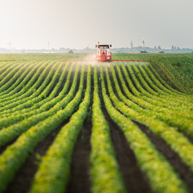 Minimis Agri-AdobeStock_243525780.vignette.jpeg