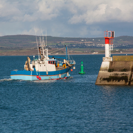 Minimis Pêche-AdobeStock_60840262.vignette.jpeg