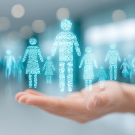 Minimis SIEG.vignette.jpeg